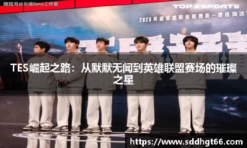 TES崛起之路：从默默无闻到英雄联盟赛场的璀璨之星