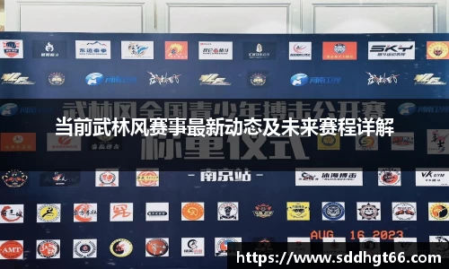 当前武林风赛事最新动态及未来赛程详解